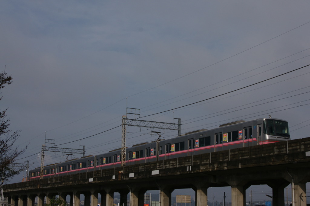 DSC00452