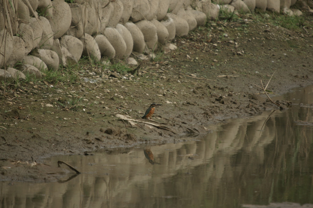 DSC09304