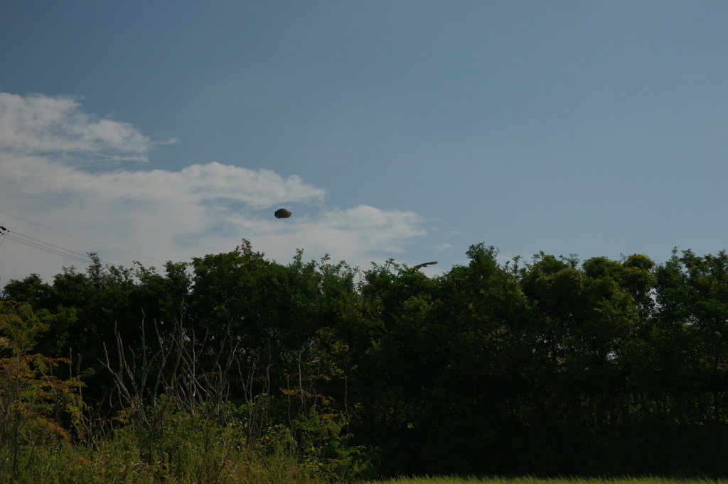 9598 UFO？