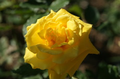 DSC04783