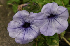 DSC09473