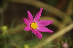 DSC00346