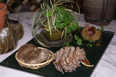 7205 旅先の料理店先で