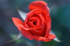 DSC04740