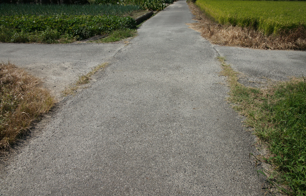 9602t 散歩道2