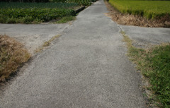 9602t 散歩道2