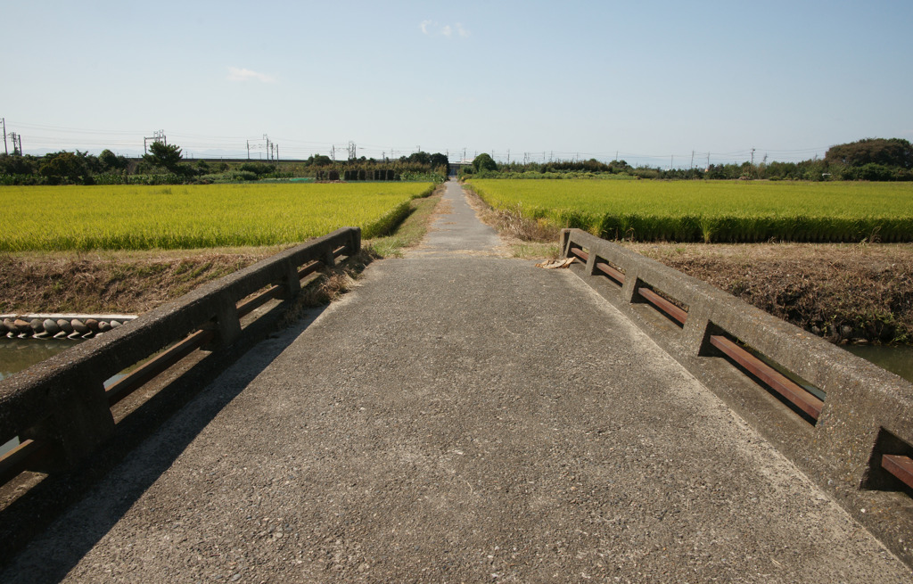 9601t 散歩道1