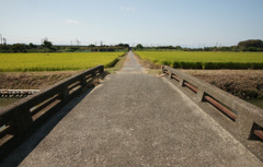 9601t 散歩道1