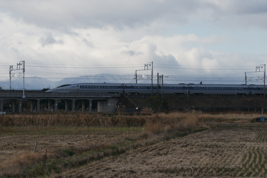 DSC09923