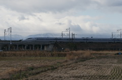 DSC09923