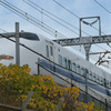 2099tm 秋色新幹線