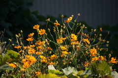 DSC01850