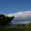 DSC00578