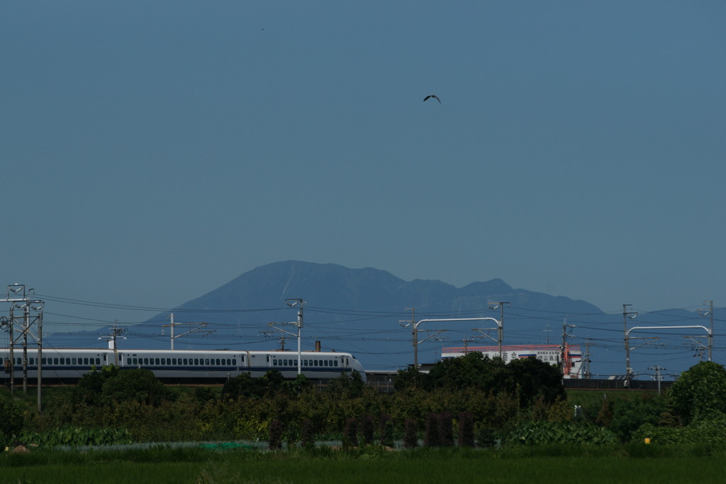 7831 伊吹山へ登ってみよう