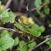 DSC00006