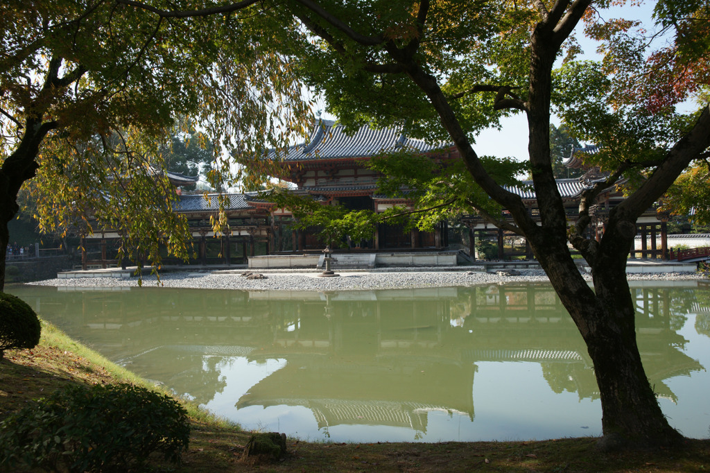 1607 宇治平等院