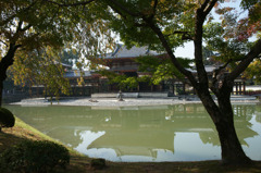1607 宇治平等院