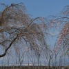 5853 今年はここまで