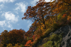 0819 白山スーパー林道-5