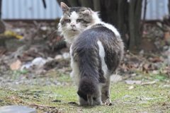 5111