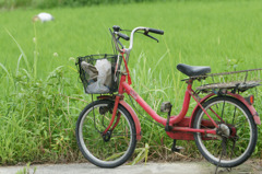 4197 農夫の自転車