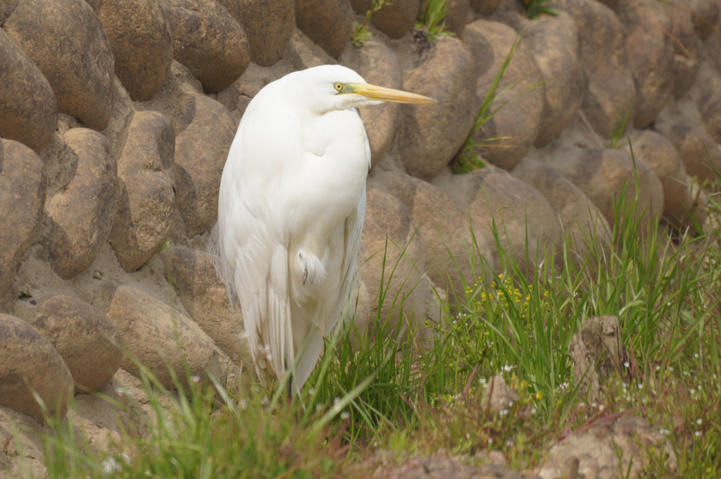 6573t 風を避けて