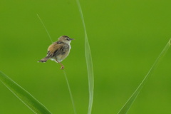 5240