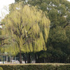 5455 鶴舞公園