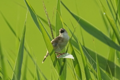 8291
