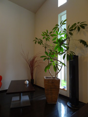 0112 喫茶店の一角