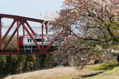 5951m 名鉄電車