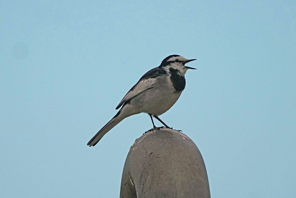 8569m