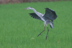 9318