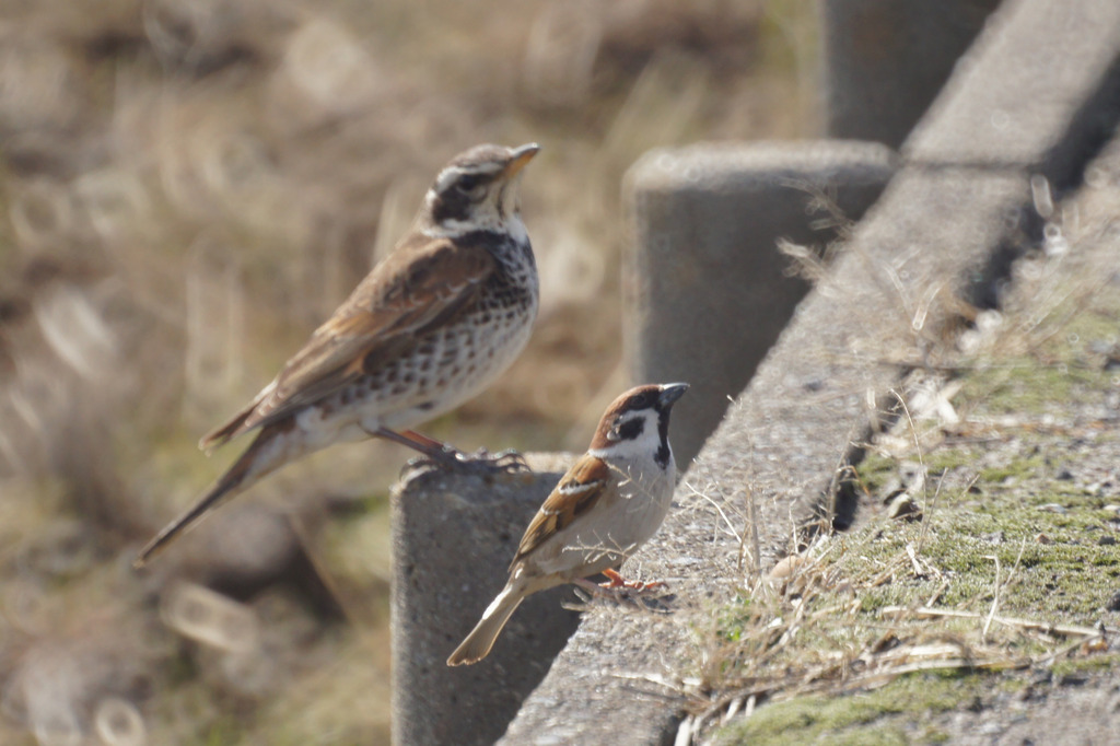 6569t どっち撮る？
