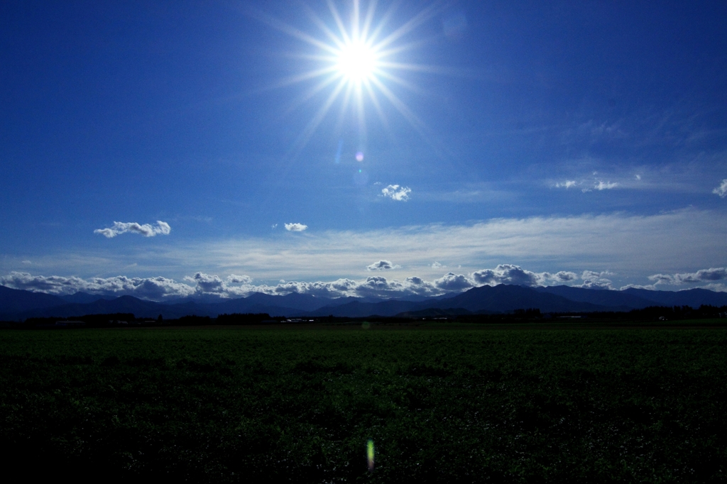 盛夏　十勝平野