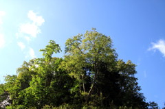 青空