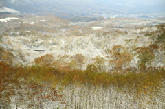 初冠雪と紅葉と