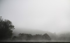 霧の中
