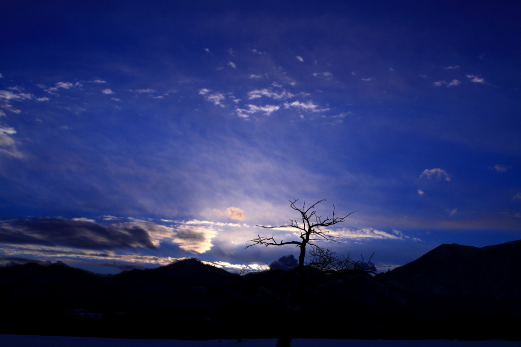 冬枯れと夕暮れ