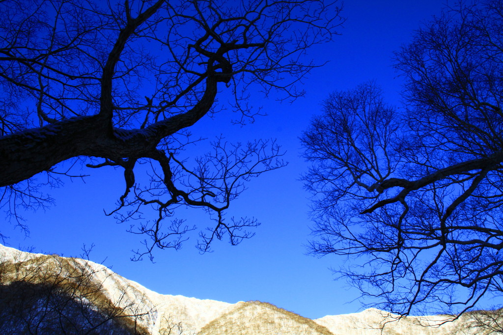 青空
