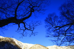 青空