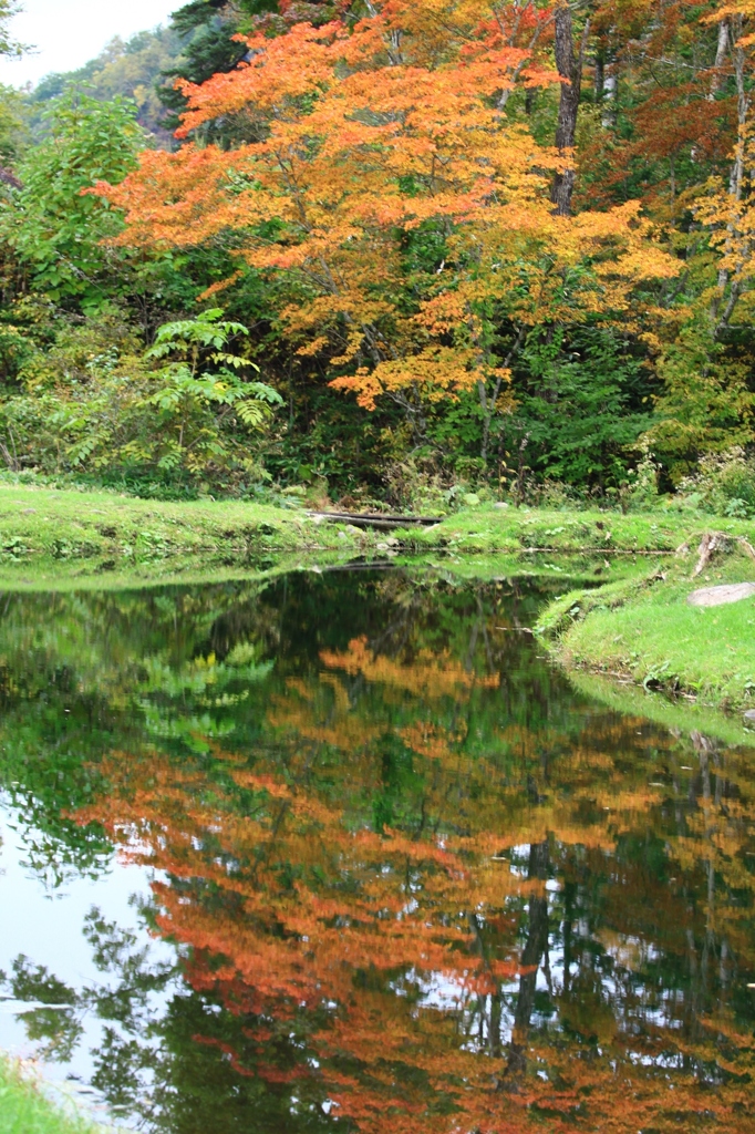 まだちょっと早いですが