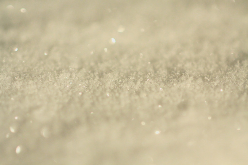 新雪