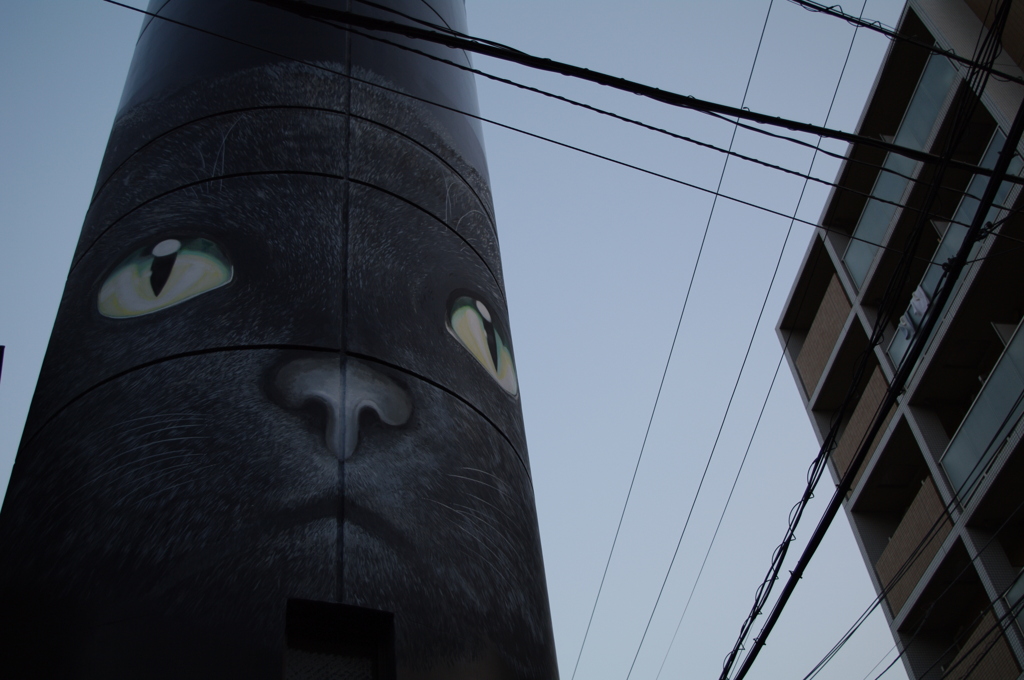 にゃお