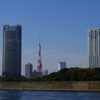 東京タワー