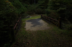 その道の向こうには