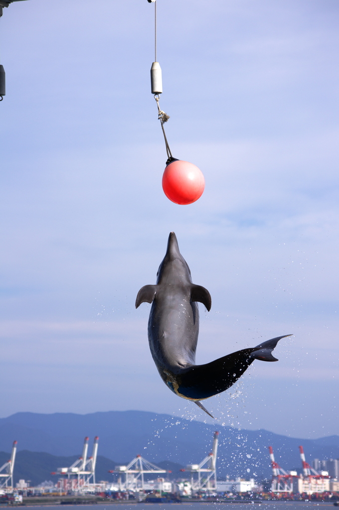 大ジャンプ