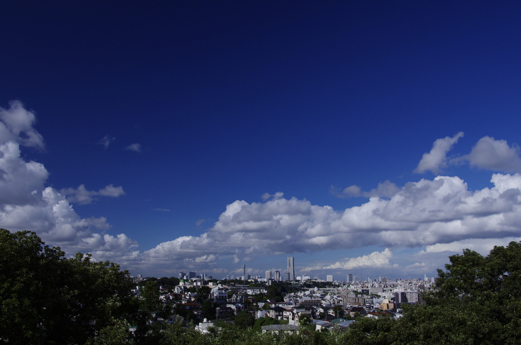 夏の空　夏の雲