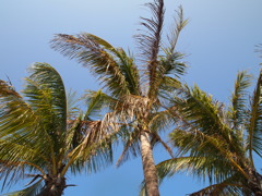 P2160651