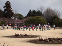 P3040044